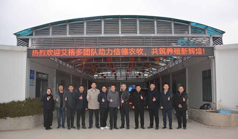 艾格多集團助力信德農牧，共推蛋雞養殖智慧化新篇章