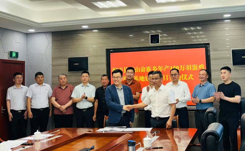 艾格多集團桐廬莪山畬族鄉(xiāng)150萬羽蛋雞養(yǎng)殖項目簽約圓 滿完成